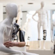 Ein Schulter- und Ellenbogengelenk ist im Showroom am Firmensitz vom Orthopädietechnikhersteller ottobock zu sehen. Die Ottobock SE & Co. KGaA ist ein internationales Unternehmen mit Sitz in Duderstadt, das im Bereich der Orthopädietechnik tätig ist.
