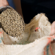 Green coffee beans being poured into burlap sack in factory setting.